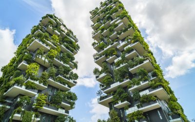 Réglementation Environnementale 2020 : Où en est-on ?