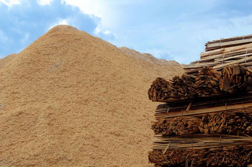 La biomasse : énergie de proximité